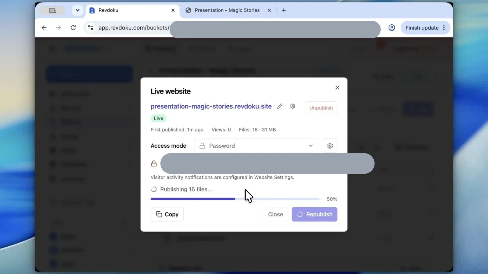Revdoku password access settings, with the private URL and password covered in light gray