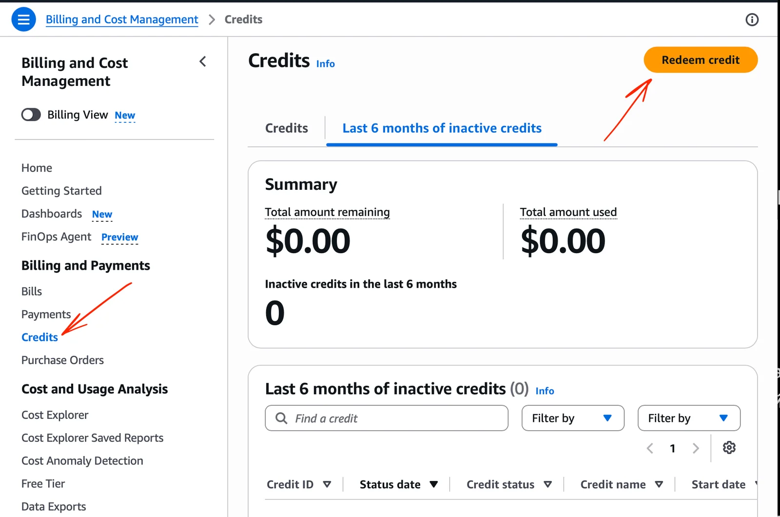 AWS Billing and Cost Management Credits page with balances, usage details, and a Redeem credit button