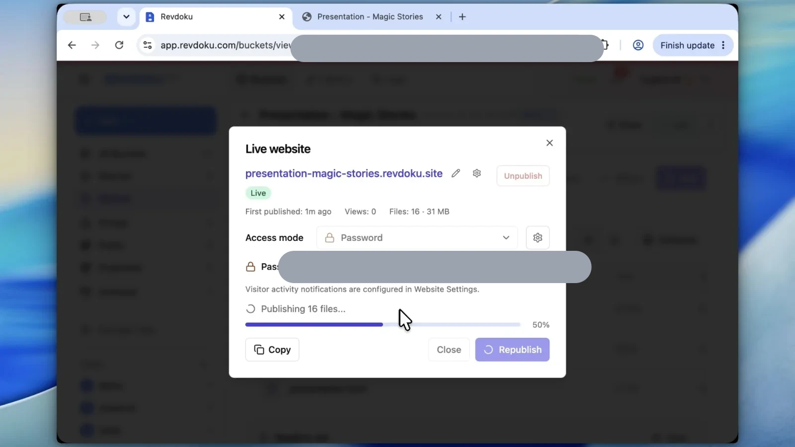 Revdoku live website dialog with Password access selected and the password covered in light gray