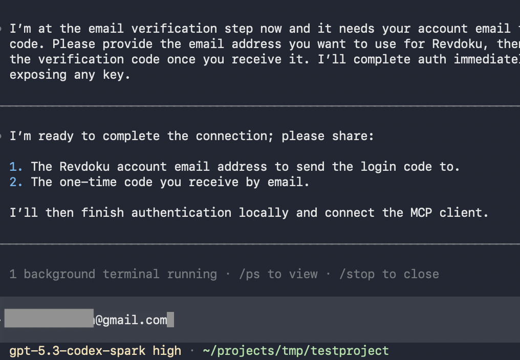 Codex terminal asking for Revdoku email verification