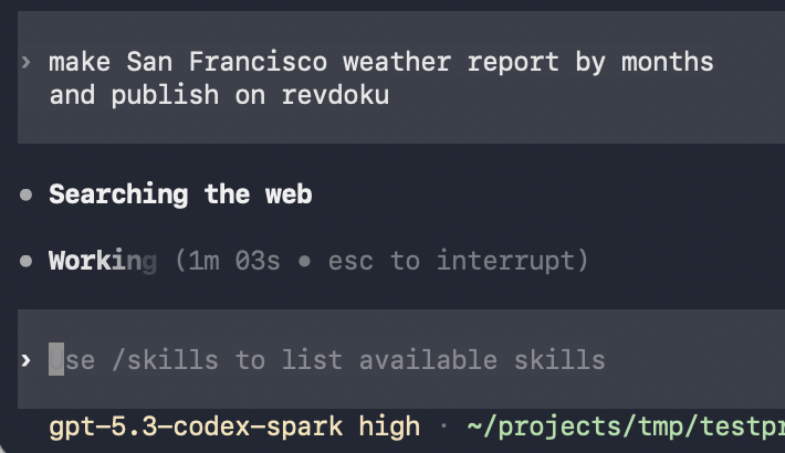 Codex terminal weather report prompt